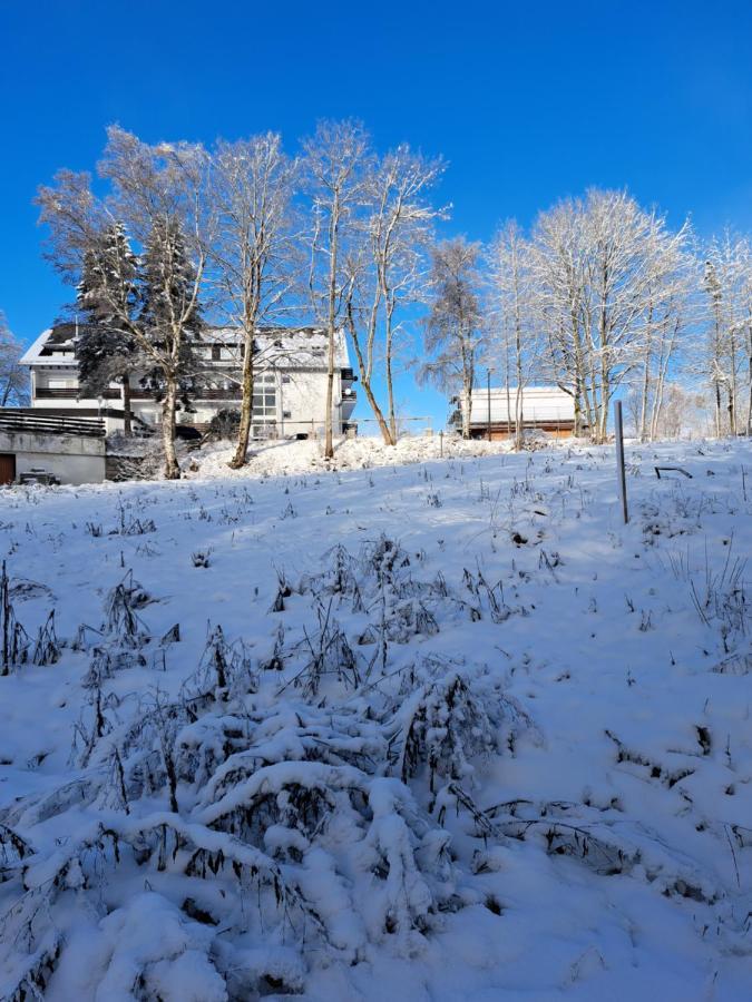 Great Apartment Winterberg Woods เมเดบาค ภายนอก รูปภาพ